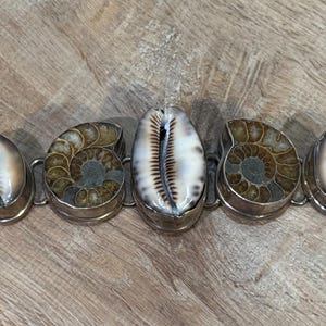 Bellissimo bracciale in argento sterling con fossili di ammonite, lunghezza 8"