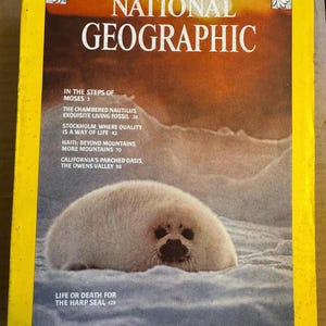 Vintage 1976 - National Geographic Magazine - Guter bis ausgezeichneter Zustand - Januar 1976 bis Dezember 1976 - Einzelkauf