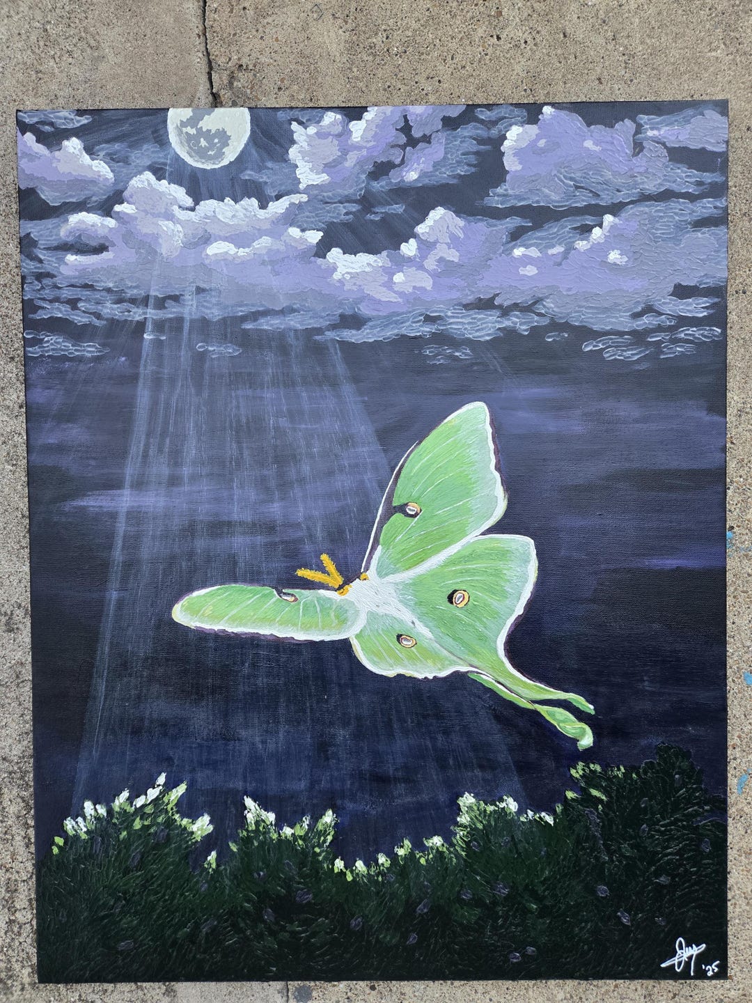 Luna Moth Acrylic Painting, on Canvas, Wall Art, Wall Decor, Gift - Etsy