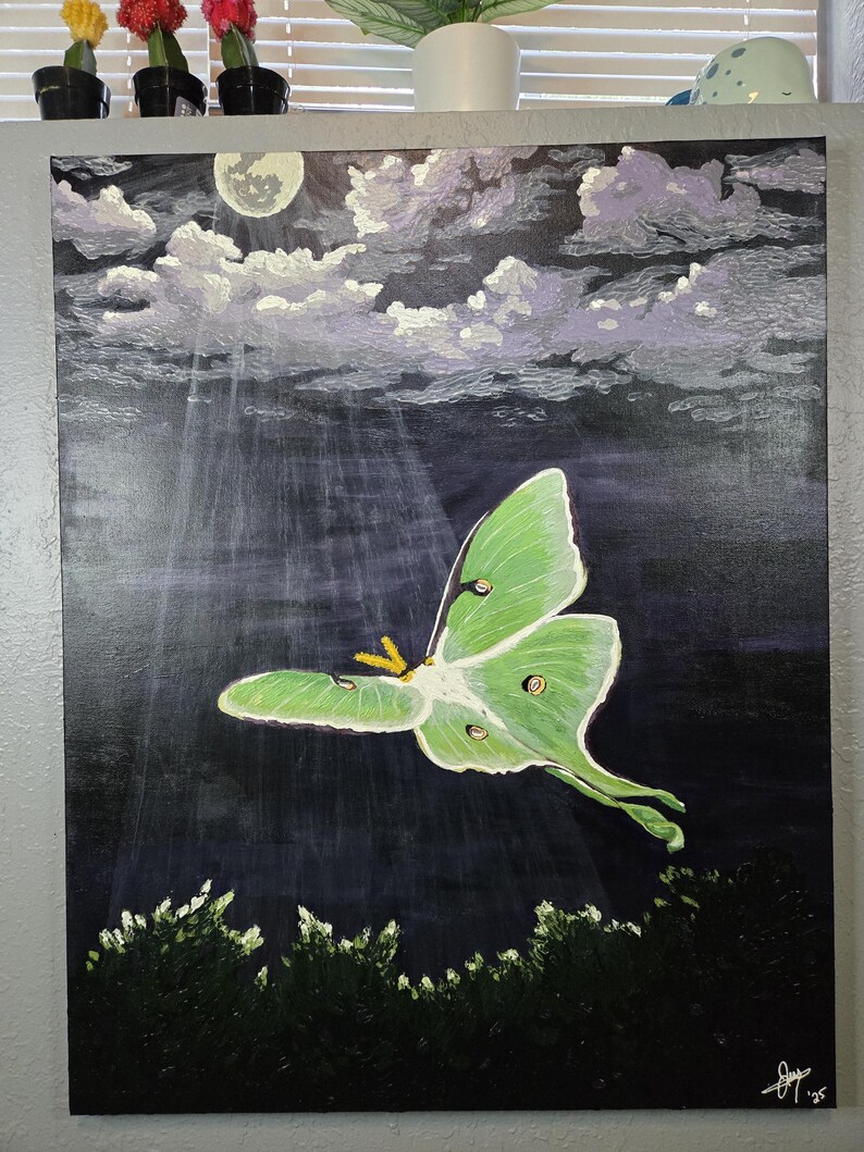 Luna Moth Acrylic Painting, on Canvas, Wall Art, Wall Decor, Gift - Etsy