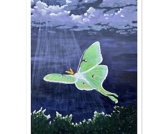 Impression/poster Luna Moth, art mural, décoration murale