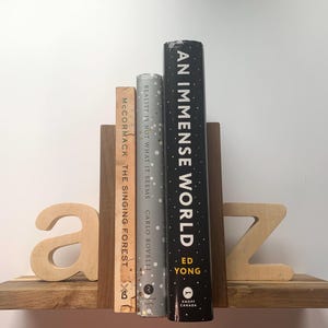 Akazie & Kiefernholz Buchstützen | Handgefertigte Rustikale Buchstützen aus Holz | Naturholz Dekor