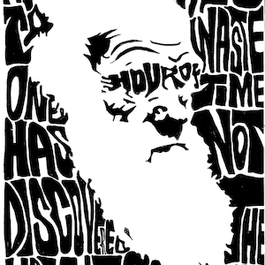 Charles Darwin Silkscreen Print | 10 x 14 | Hand Printed Silkscreen Screenprint Poster Wall Art