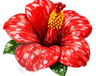 Flower, Red Maga, 3D, Watercolor Sublimation Digital Download PNG 300 dpi | Flor Maga, Puerto Rico