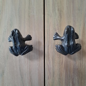 Könnte beinhalten: Zwei schwarze, detailliert geschnitzte Schrankknöpfe in Froschform. Die Knöpfe sind auf einer hellbraunen Holzoberfläche montiert.