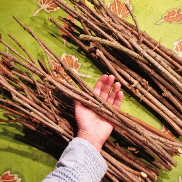 Elder Wood Stick Bundles