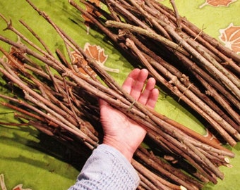 Elder Wood Stick Bundles