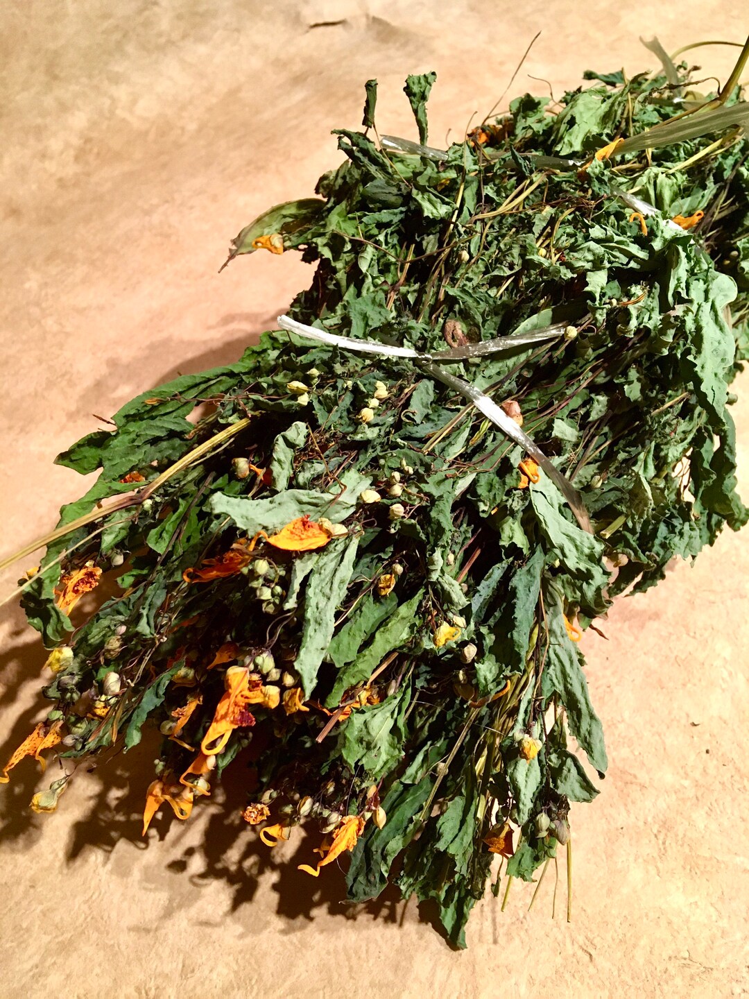 Dried Jewelweed Etsy