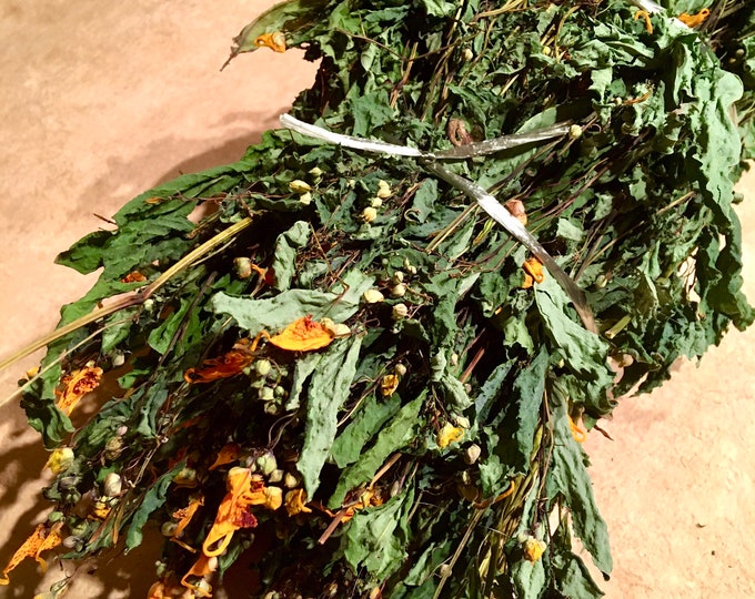 Dried Jewelweed Etsy