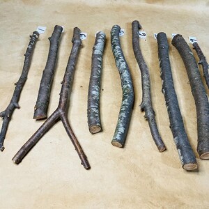 K&ouml;nnte beinhalten: Neun nat&uuml;rliche Holz&auml;ste unterschiedlicher L&auml;nge und Dicke, auf einer braunen Papieroberfl&auml;che ausgelegt. Die &Auml;ste sind von 1 bis 9 nummeriert.