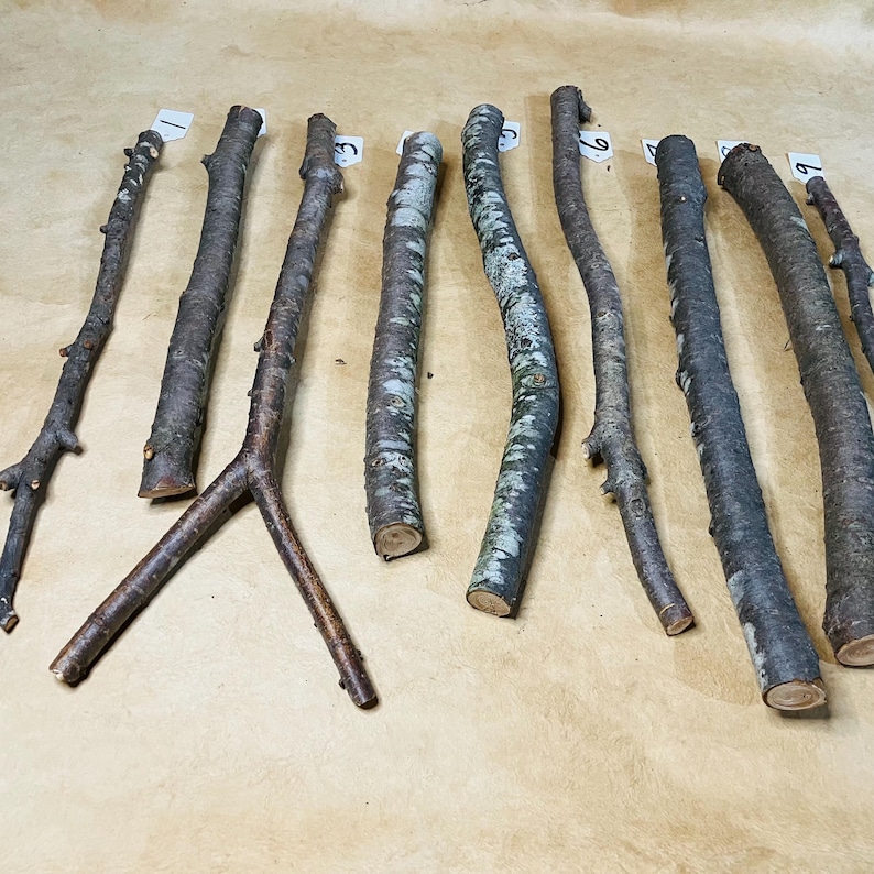 K&ouml;nnte beinhalten: Neun nat&uuml;rliche Holz&auml;ste unterschiedlicher L&auml;nge und Dicke, auf einer braunen Papieroberfl&auml;che ausgelegt. Die &Auml;ste sind von 1 bis 9 nummeriert.
