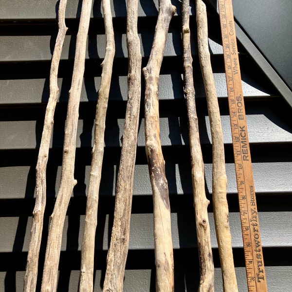 7 Weathered Sticks, Beaver Chewed Driftwood