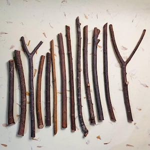 Willow Wand Carving Wood