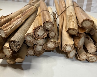 Dried Cattail Stems