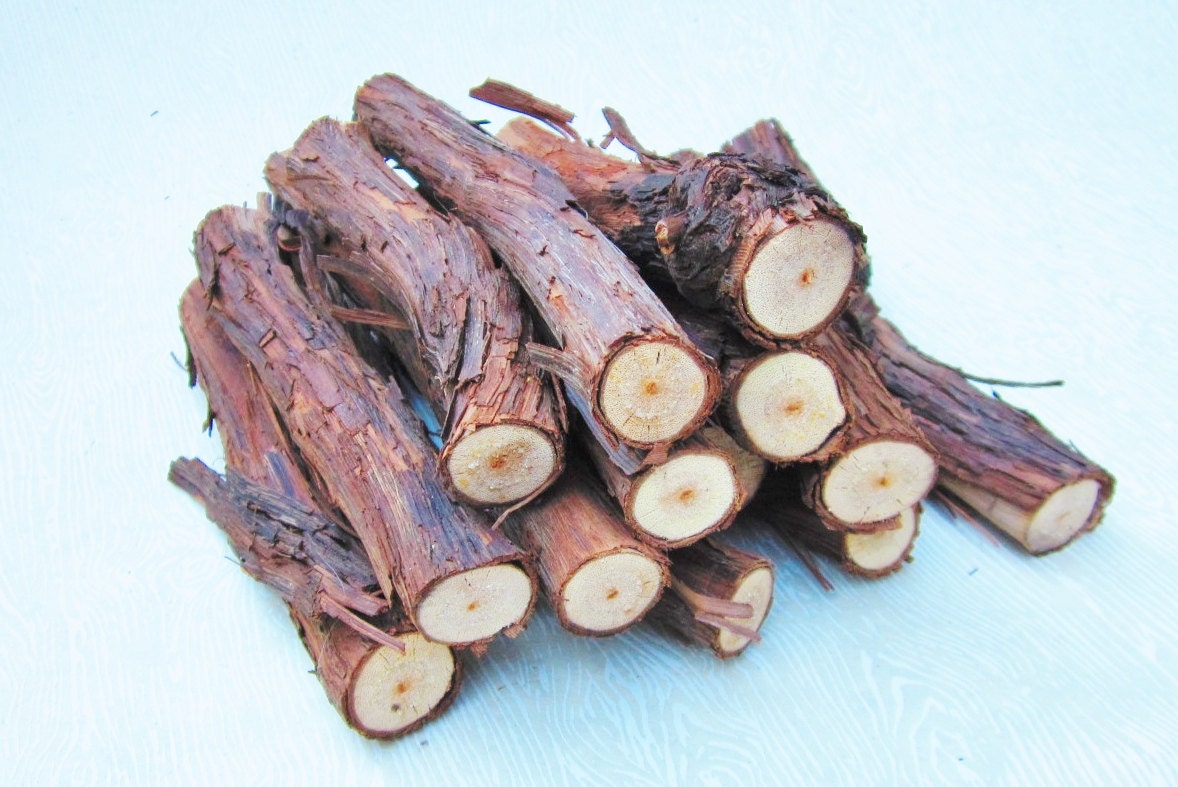 Grapevine Pet Chew Sticks Rodent Dental Care Etsy UK