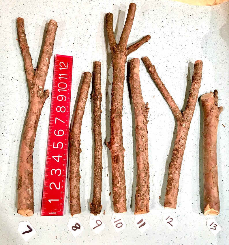 Yew Wand Wood Yew Sticks For Carving Etsy