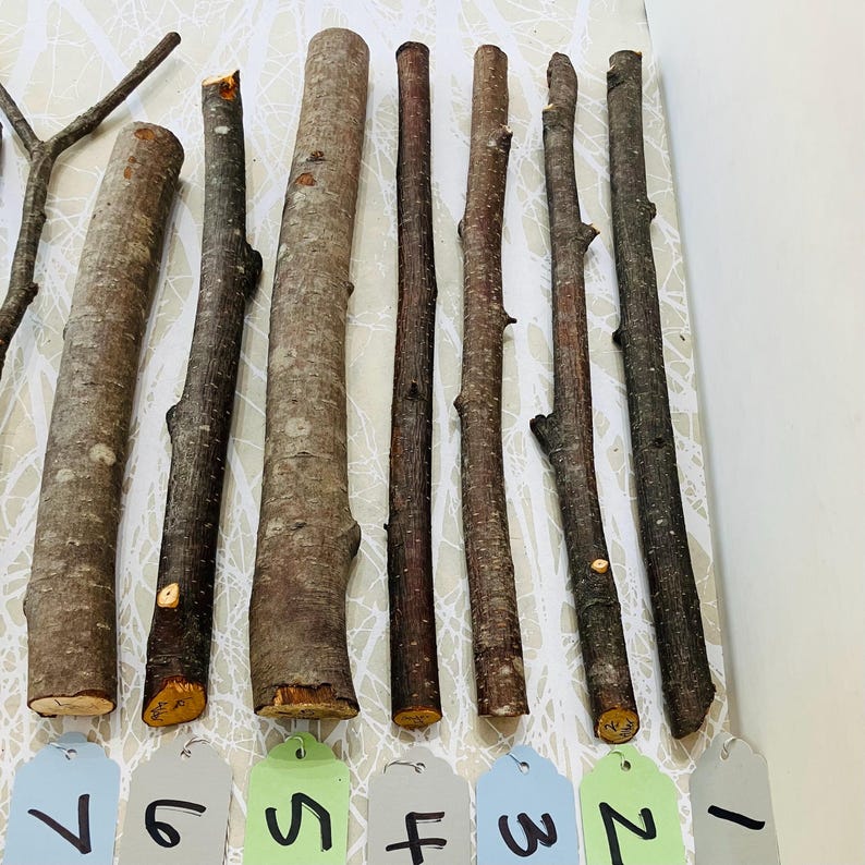May include: An assortment of natural wooden sticks of varying lengths and thicknesses. The sticks range in color from light brown to dark brown, with some showing bark texture and small branches. Numbered tags are visible at the bottom.