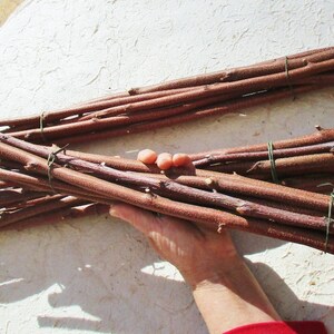 May include: A bundle of brown and reddish-brown twigs tied together with green twine. The twigs are approximately 12 inches long.