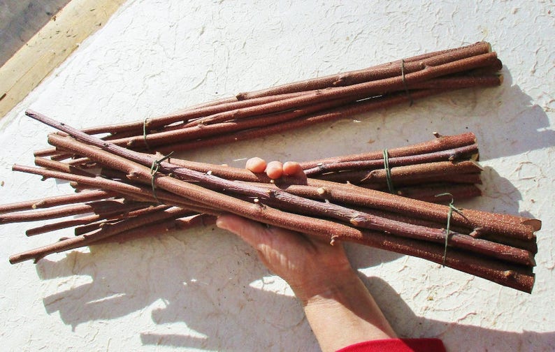May include: A bundle of brown and reddish-brown twigs tied together with green twine. The twigs are approximately 12 inches long.