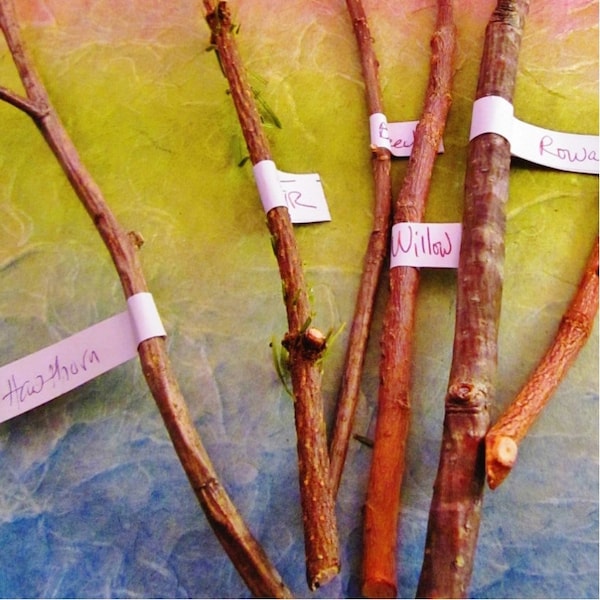 Ritual Wood Bundle, Choose Your Custom Twigs for Witches Apothecary