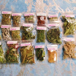 Spiritual Practice Apothecary Sample Set, Choose Your Own from 130 Herbs, Flowers and Wood Samples image 8