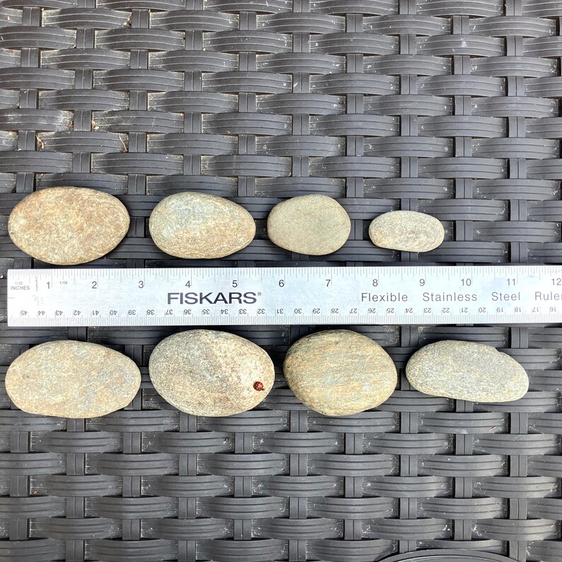 Oval Shape Rocks 8 Oval Flat Rocks, Beach Stones, Rocks for Decoration - Etsy
