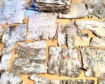 Birch Bark, Two Pounds Assorted Size Paper Birch Pieces
