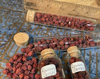 Rowan, Hawthorn and Juniper Berries in Glass Corked Vials