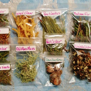 Spiritual Practice Apothecary Sample Set, Choose Your Own from 130 Herbs, Flowers and Wood Samples image 7