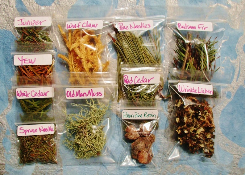 Spiritual Practice Apothecary Sample Set, Choose Your Own from 130 Herbs, Flowers and Wood Samples image 7