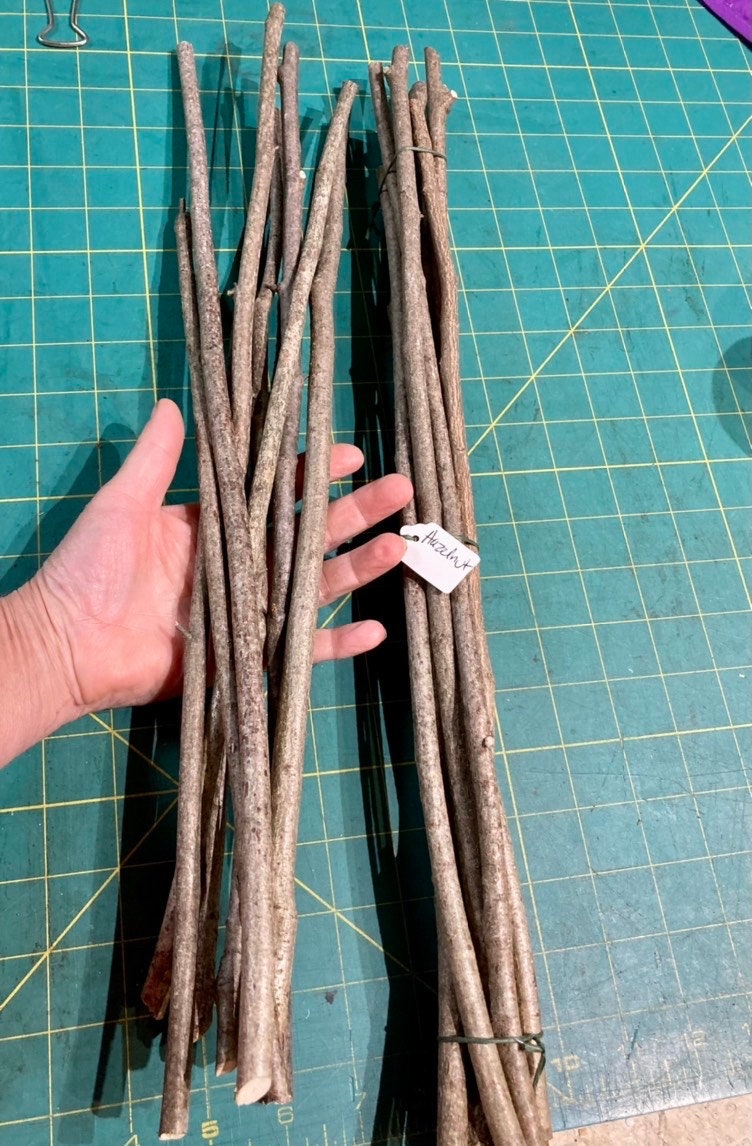 Hazelnut Wood Sticks Etsy