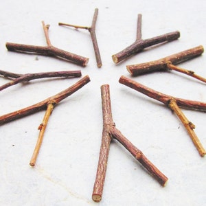 Hazel Wood Mini Forks, Seven Hazelnut Wood Tiny Forked Twigs