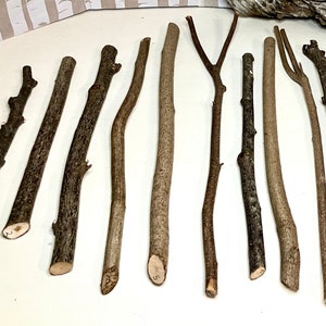 Hazel Wood Sticks, Hazelnut Wand Whittling Wood