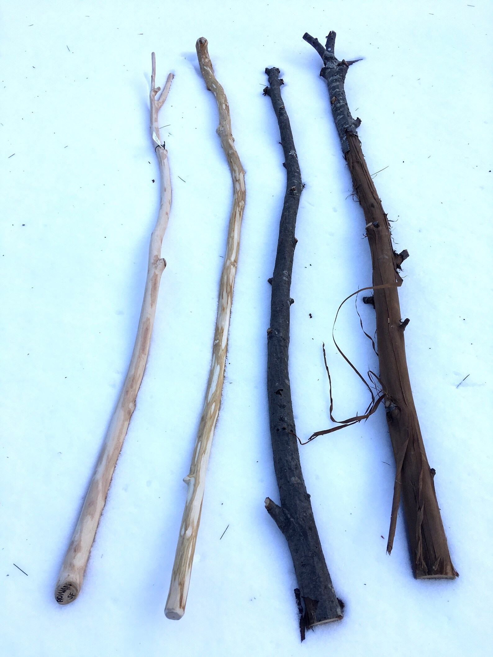 Rowan Wood Staff Long Rowan Branches for Carving Etsy