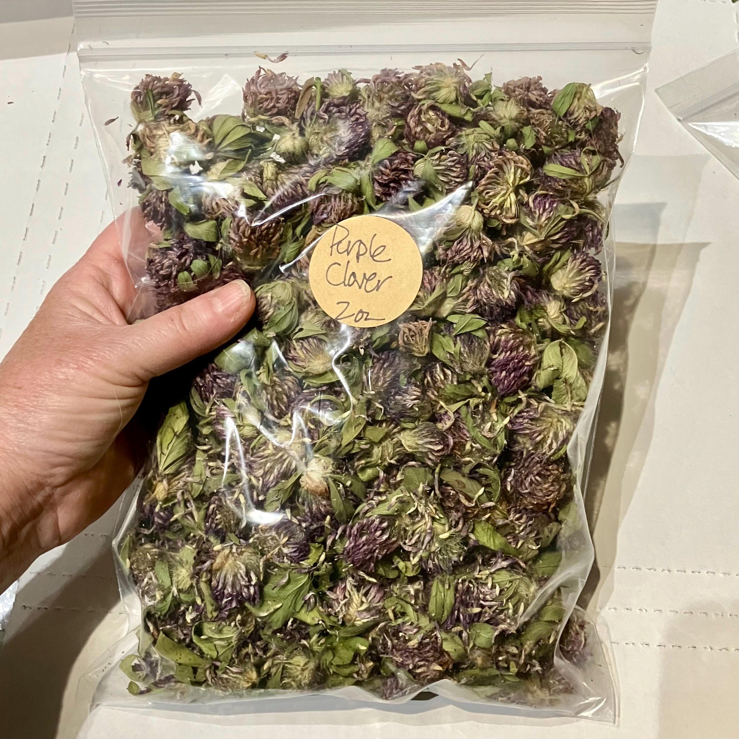 CLOVER出品 Dried Purple Clover - 2025 Harvest From NH - Etsy