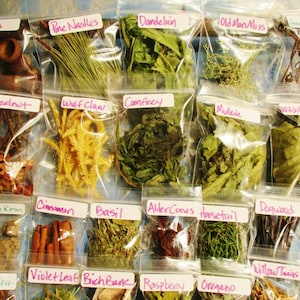 Spiritual Practice Apothecary Sample Set, Choose Your Own from 130 Herbs, Flowers and Wood Samples image 1