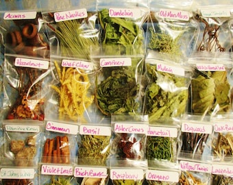 Spiritual Practice Apothecary Sample Set, Choose Your Own from 130+ Herbs, Flowers and Wood Samples