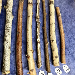 May include: Seven natural wood sticks with tags numbered 7 through 13. The sticks are various shades of brown and white, and are arranged horizontally on a blue background.