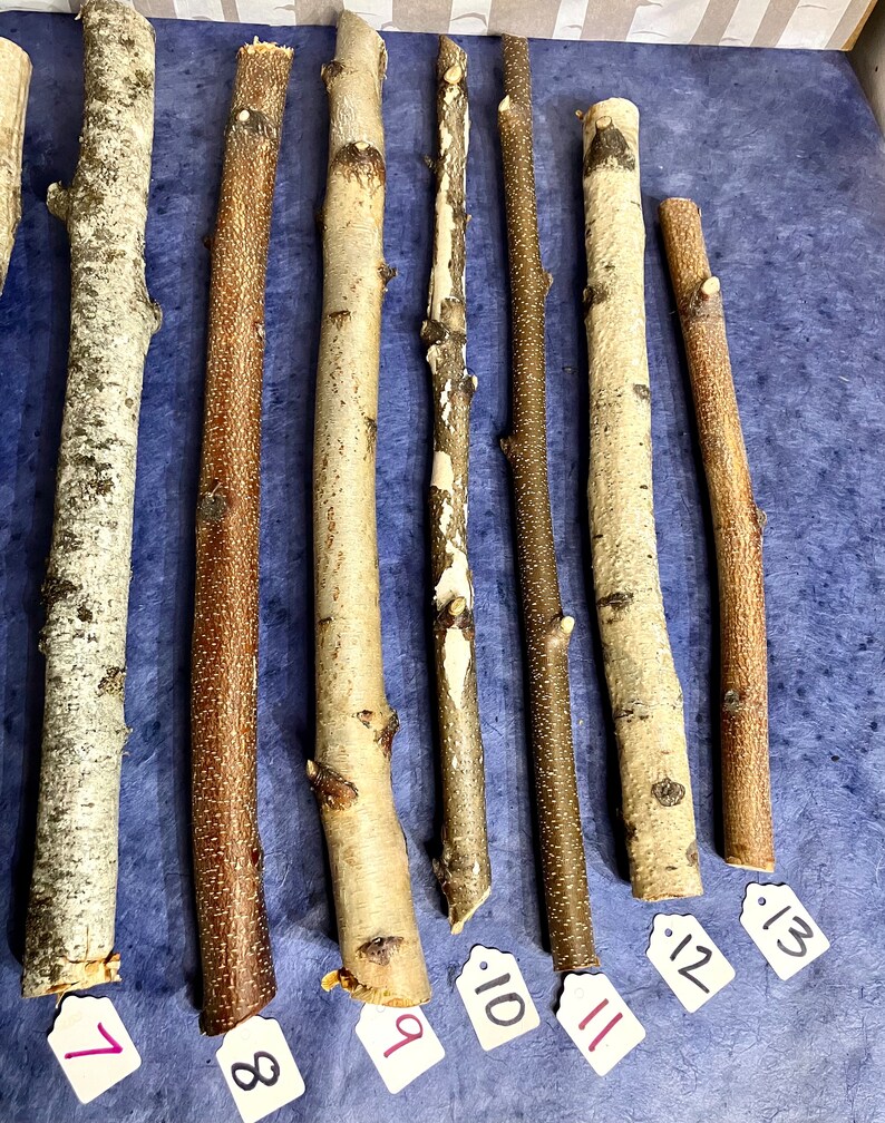 May include: Seven natural wood sticks with tags numbered 7 through 13. The sticks are various shades of brown and white, and are arranged horizontally on a blue background.