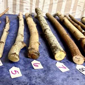 May include: Close-up of eight wooden sticks, some with bark, arranged on a blue surface. The sticks are labeled with numbers 5 through 8. The sticks are for crafting or woodworking projects.