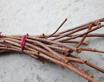 Elder Wood Twigs, Dried Elderberry Sticks, Sambucus Canadensis