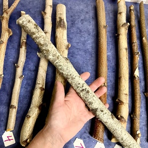 May include: A collection of eight natural wood sticks, some with bark, arranged on a blue surface. The sticks are labeled with numbers 4, 7, 8, and 9. A hand is holding one of the sticks.