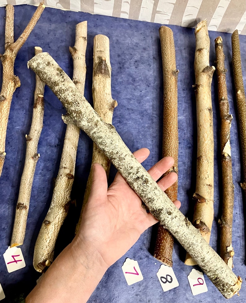 May include: A collection of eight natural wood sticks, some with bark, arranged on a blue surface. The sticks are labeled with numbers 4, 7, 8, and 9. A hand is holding one of the sticks.