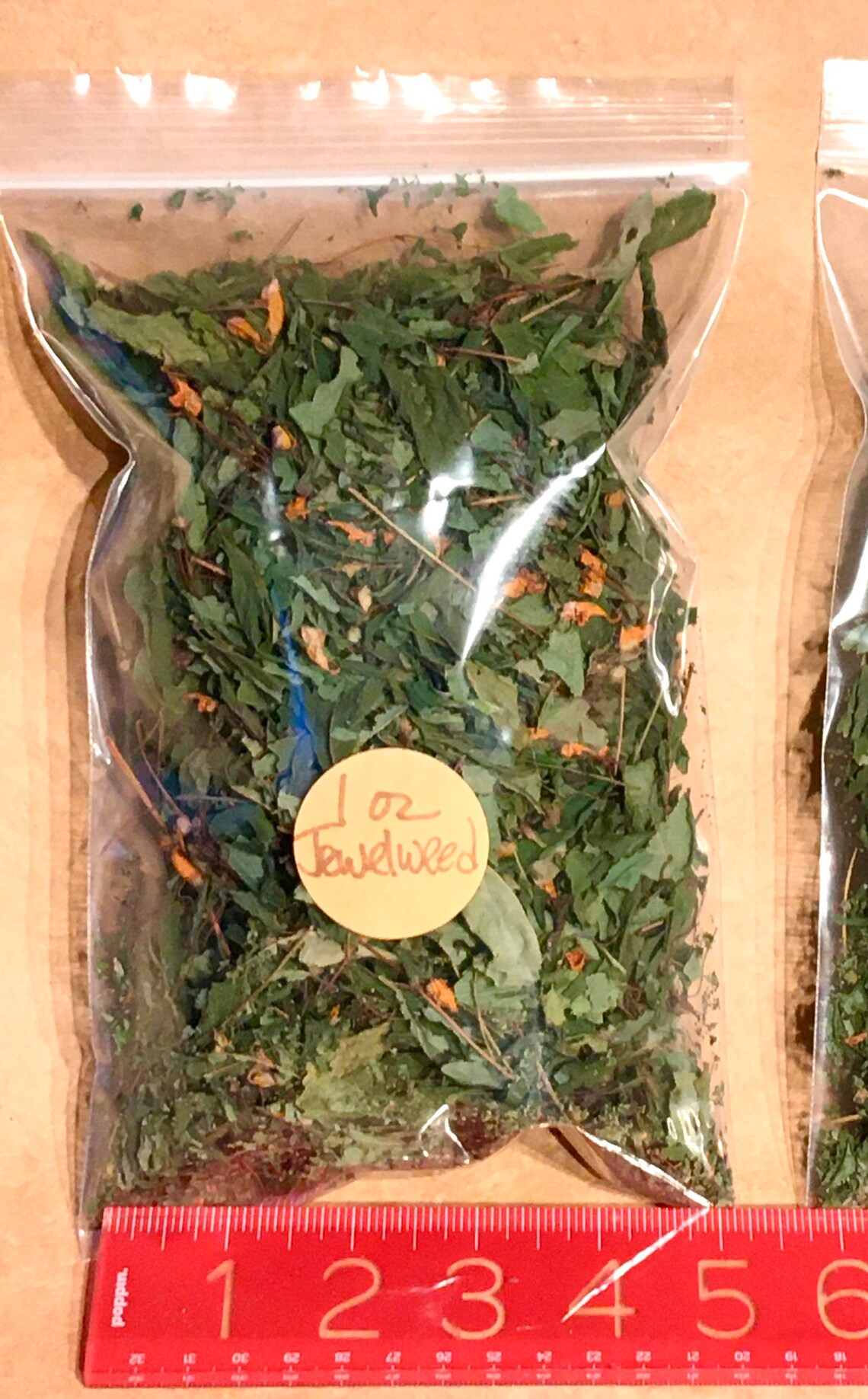 Dried Jewelweed Etsy