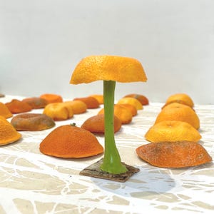 May include: A whimsical, handmade sculpture resembling a mushroom, crafted from orange peel and a green stem. The mushroom cap is a vibrant orange, and the stem is painted green. Several orange peel halves are arranged around the sculpture.