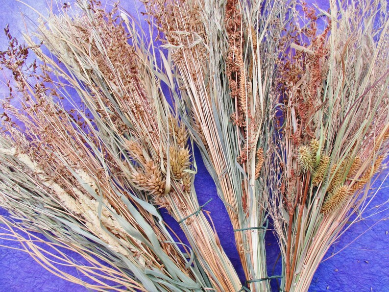 Dried Assorted Grasses Dried Grass Seed Head Bouquets Etsy