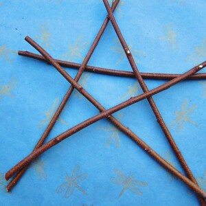 May include: A five-pointed star made from brown twigs on a blue background with a dragonfly pattern.