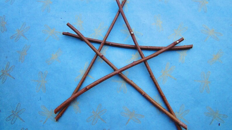 May include: A five-pointed star made from brown twigs on a blue background with a dragonfly pattern.