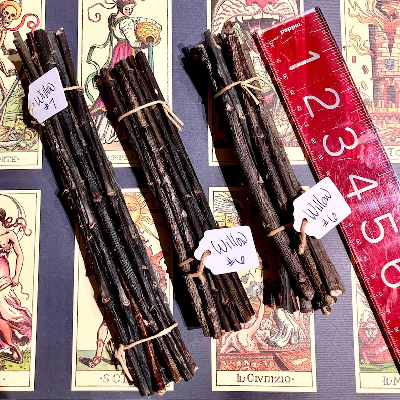 May include: Three bundles of willow branches, each tied with twine. The bundles are labelled "Willow #7", "Willow #6", and "Willow #10". A red ruler is visible in the background.