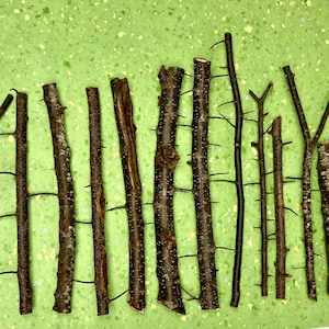 Blackthorn Wood, Prunus Spinosa Thorn Wood Sticks